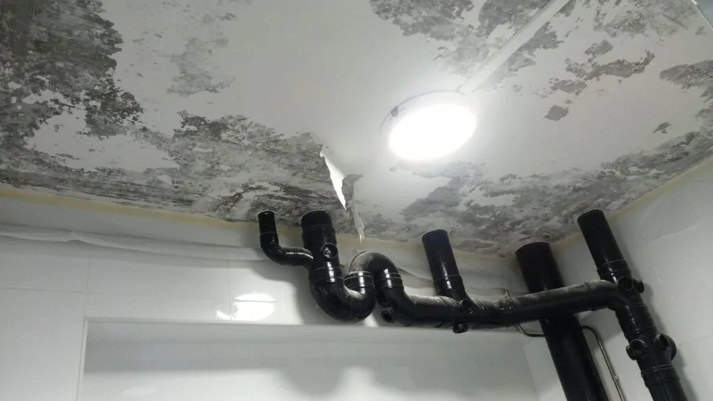 Peeling toilet paint before treatment