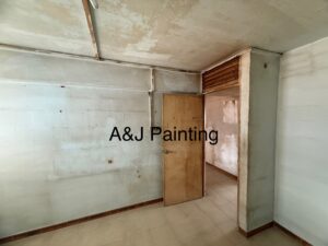 mold issue room before