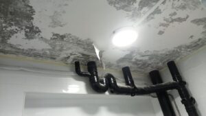 toilet peeling before