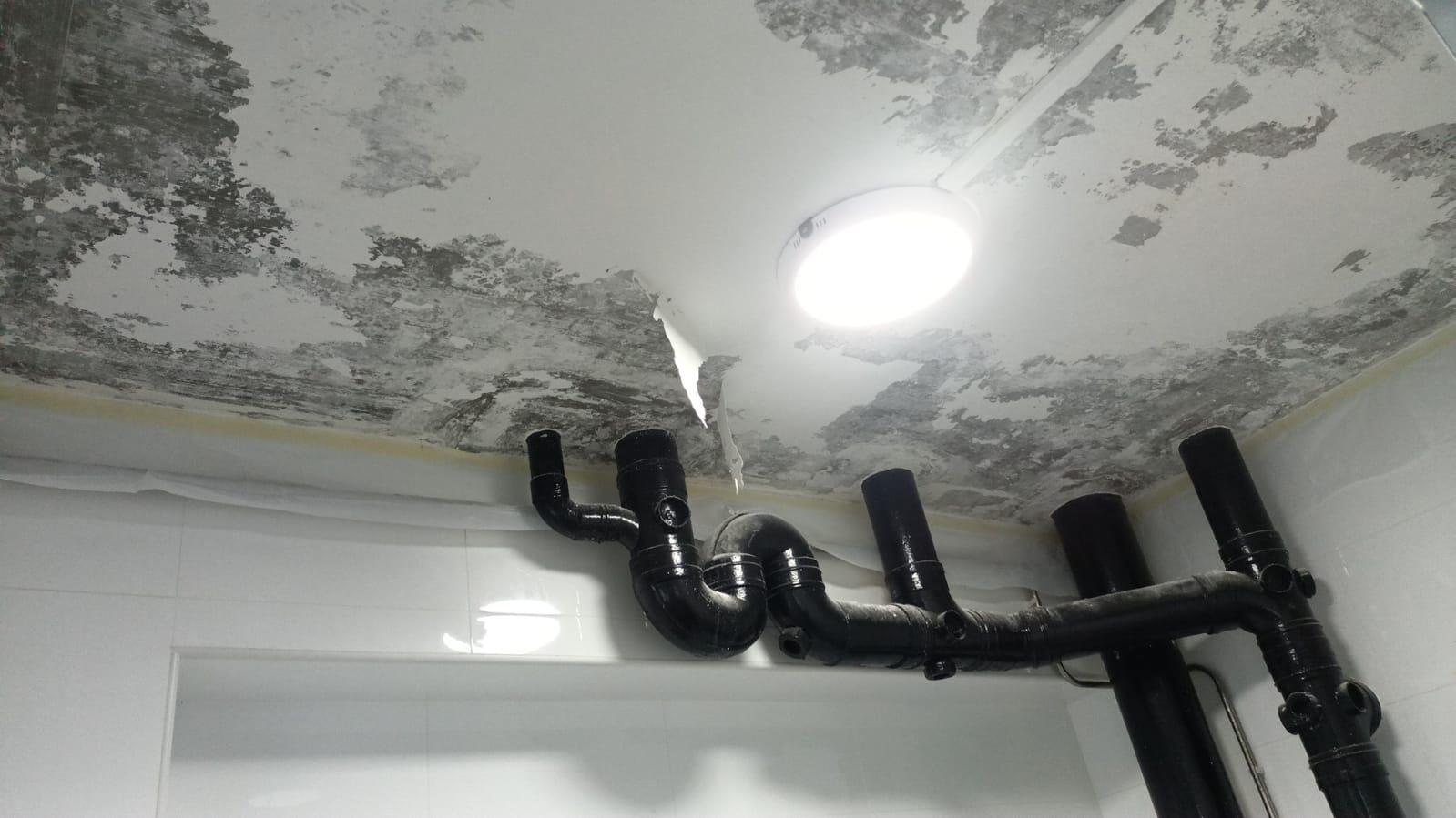 toilet peeling before